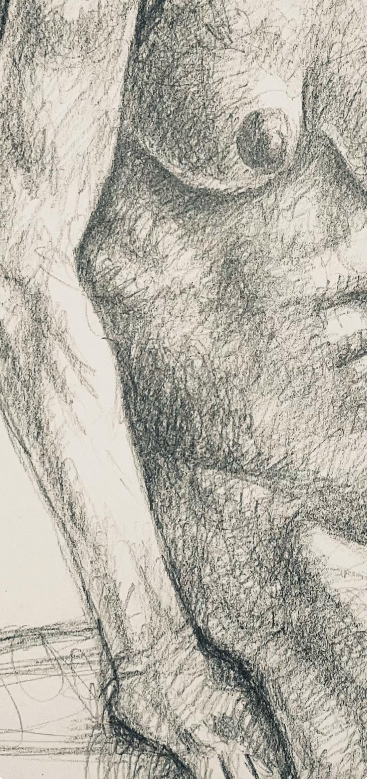 Estudio de figura desnuda femenina renacentista, 1963, Ian Hornak - Dibujo en venta 4