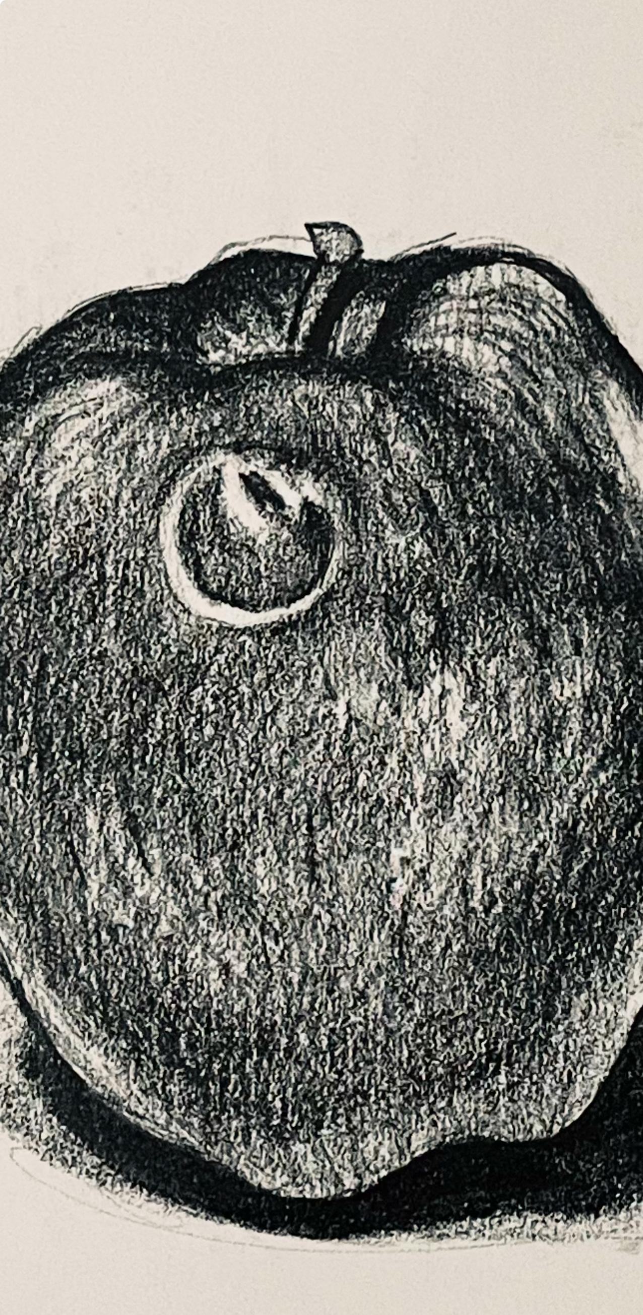 Étude de la pomme, 1985, Ian Hornak - Dessin en vente 1