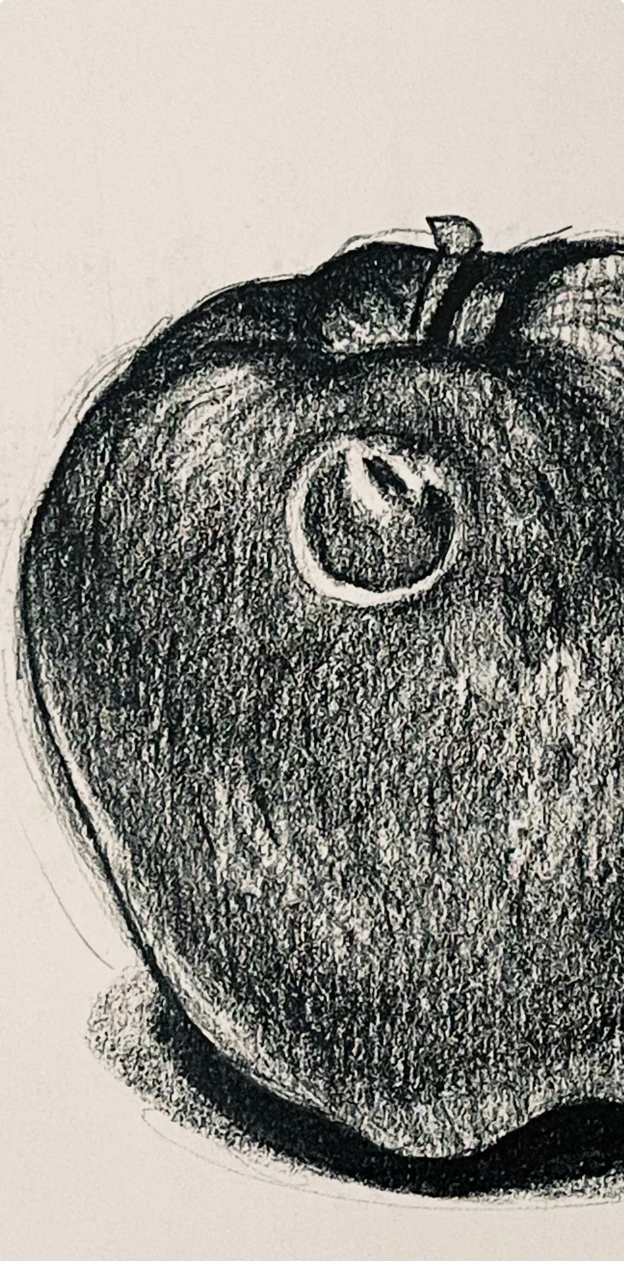 Étude de la pomme, 1985, Ian Hornak - Dessin en vente 3