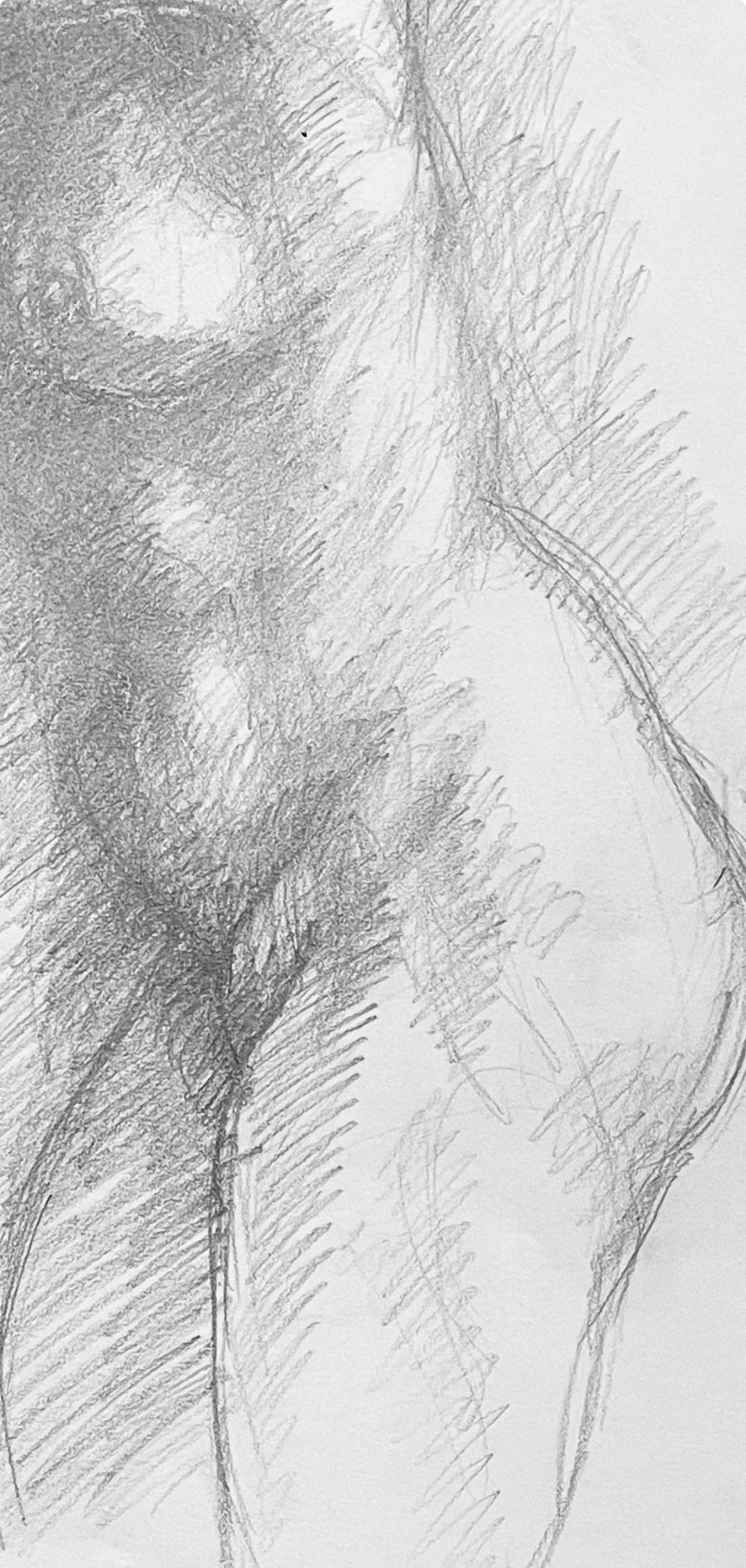 Renaissance Female Nude Figure Study, 1963, Ian Hornak — Drawing For Sale 3