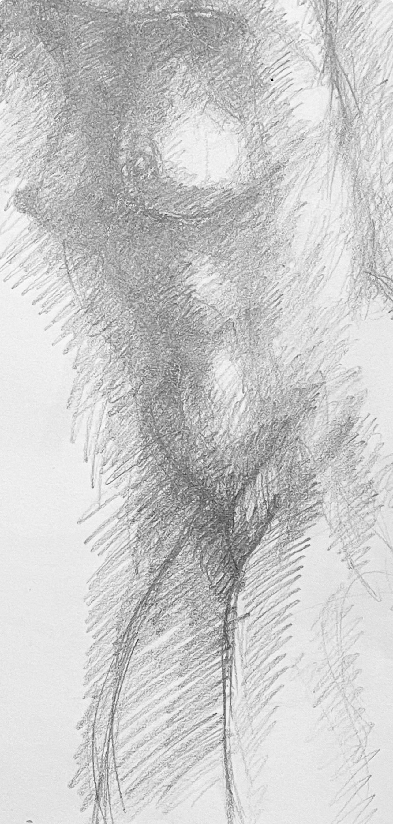 Renaissance Female Nude Figure Study, 1963, Ian Hornak — Drawing For Sale 2