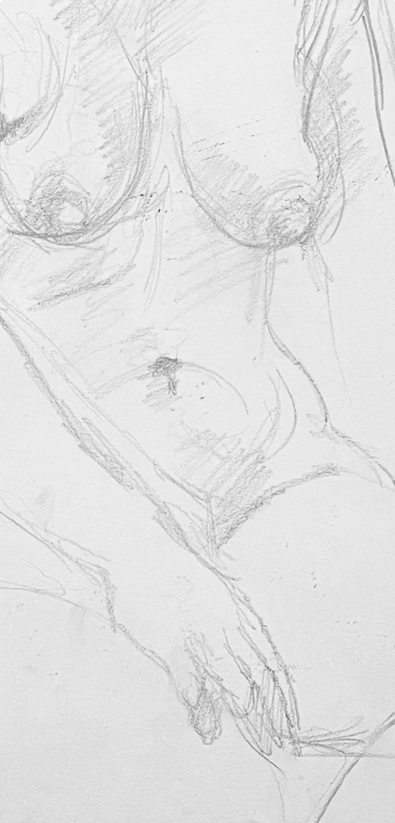 Studio di figura femminile rinascimentale, 1963, Ian Hornak - Disegno in vendita 3