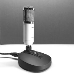 Re-purposed Microphone Lamp Sculpture