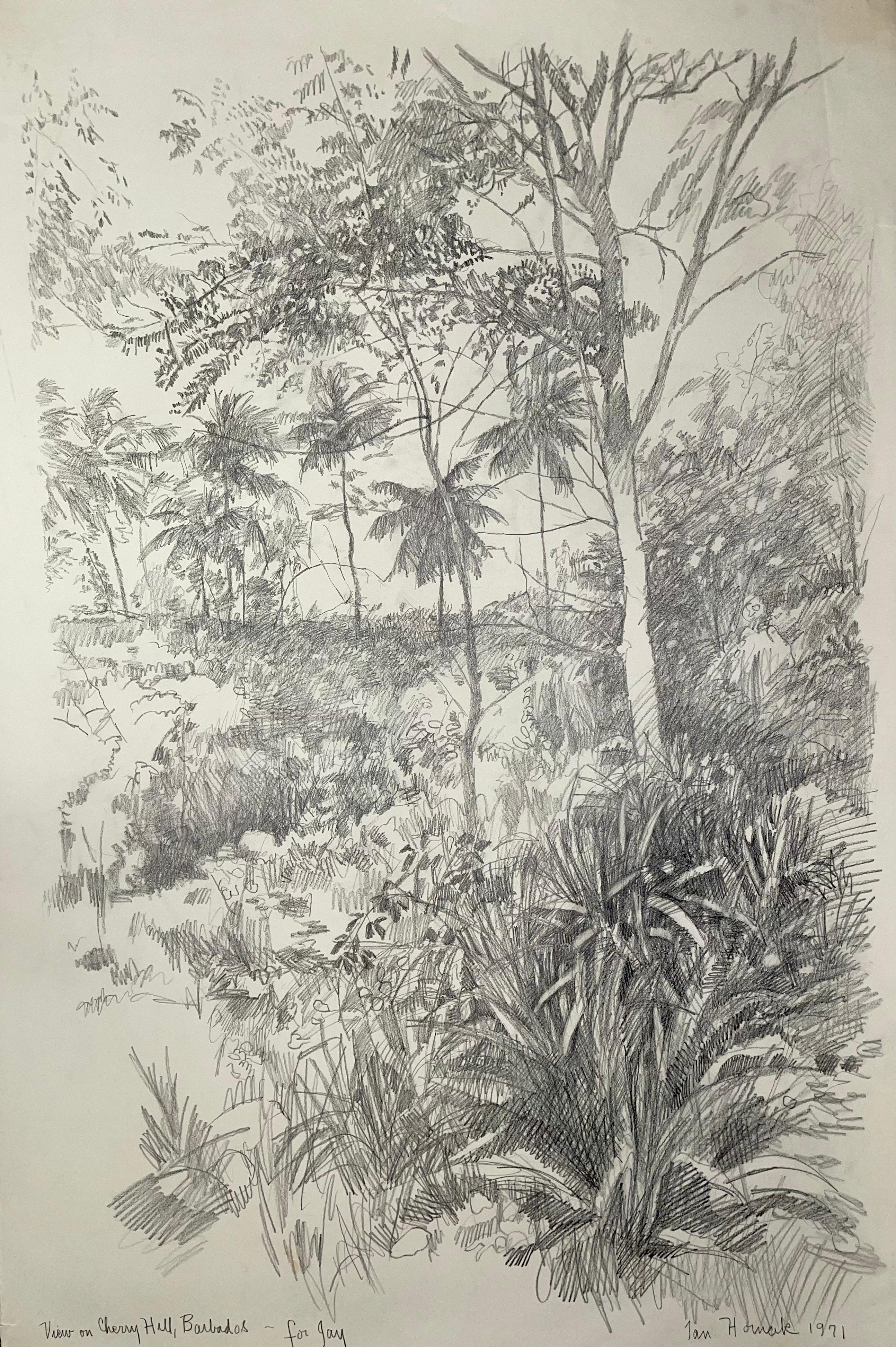 Ian Hornak Abstract Drawing – Ansicht auf dem Kirschbaumholz, Barbados