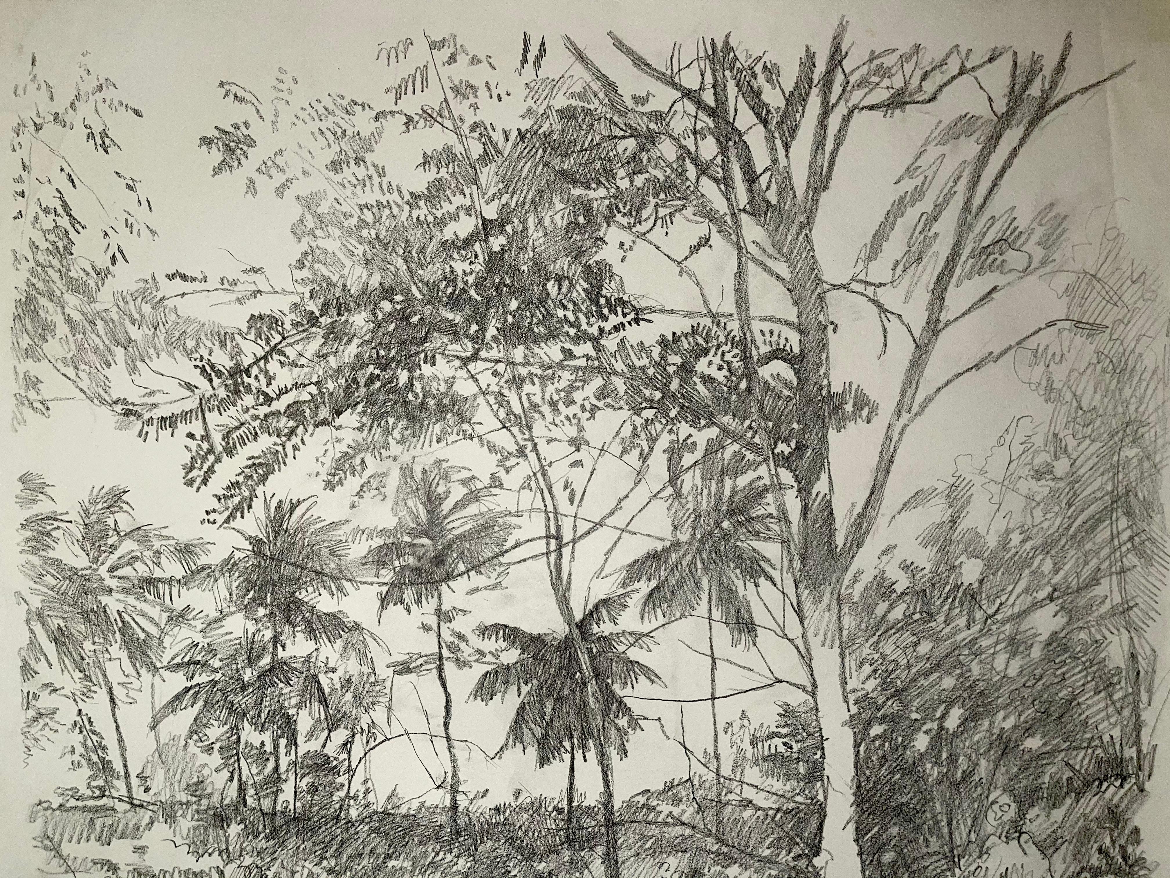 Ansicht auf dem Kirschbaumholz, Barbados – Art von Ian Hornak