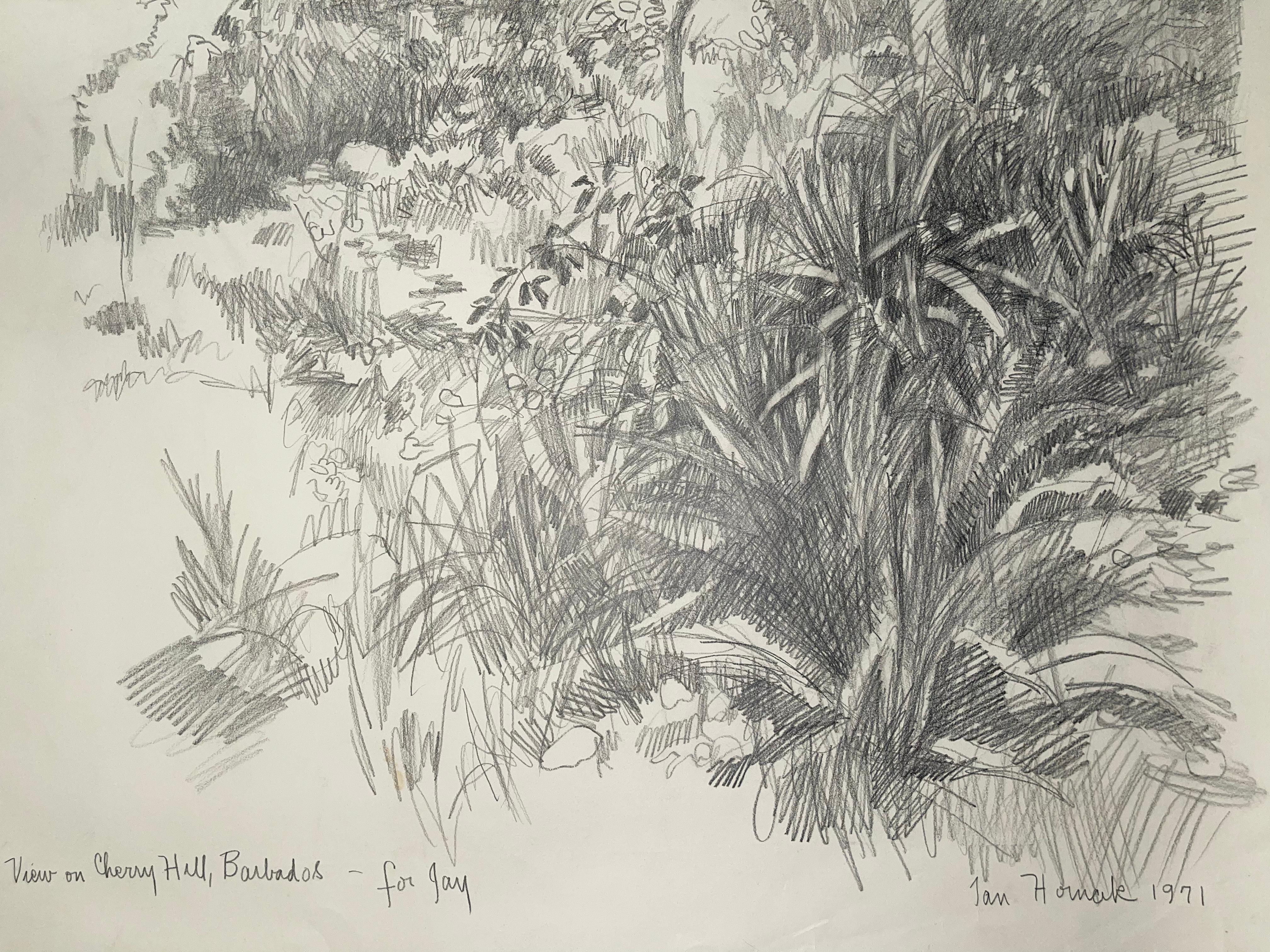 Ansicht auf dem Kirschbaumholz, Barbados (Grau), Abstract Drawing, von Ian Hornak