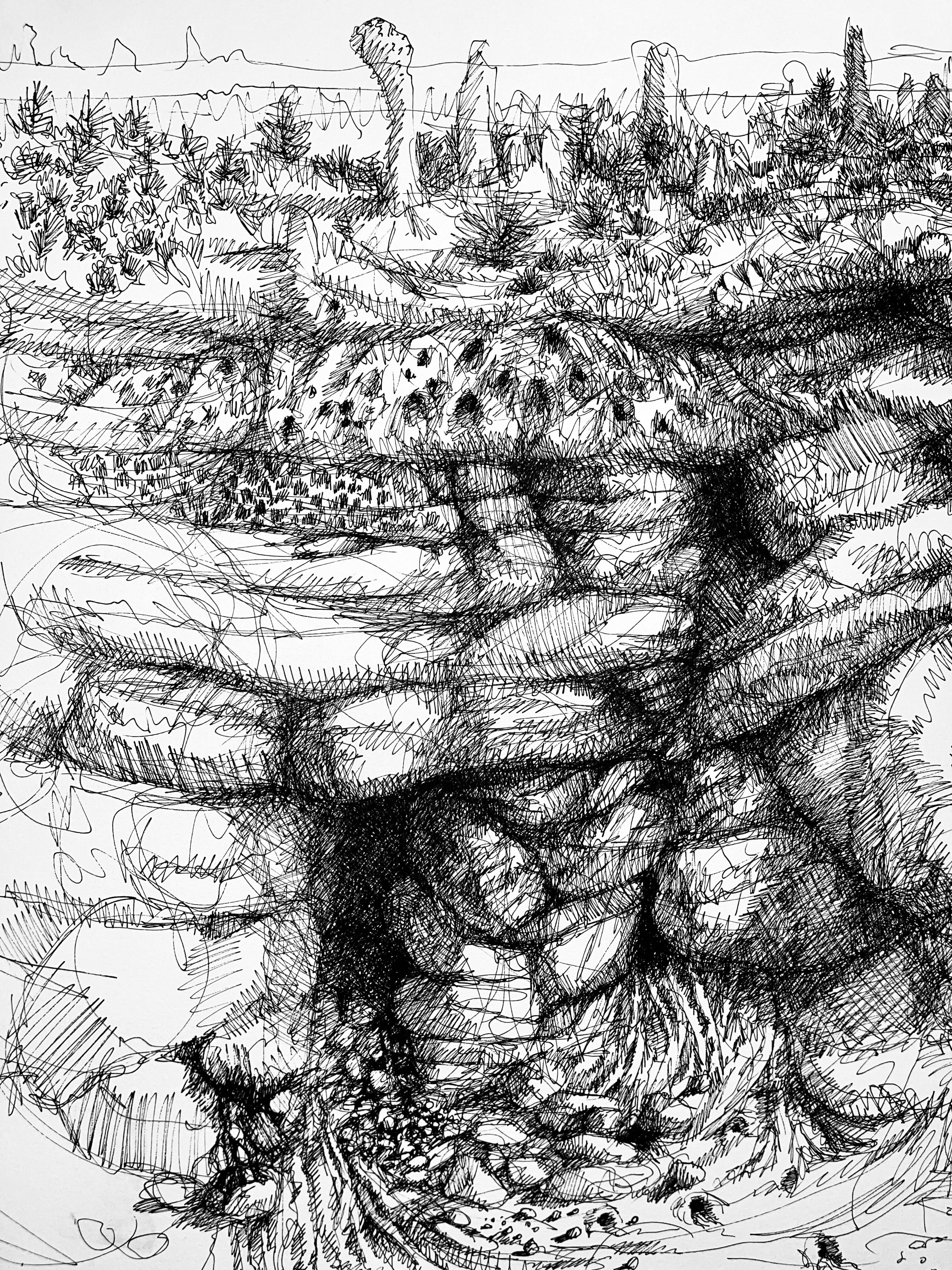 (Scottish Rockscape) Untitled - Art by Ian Hornak