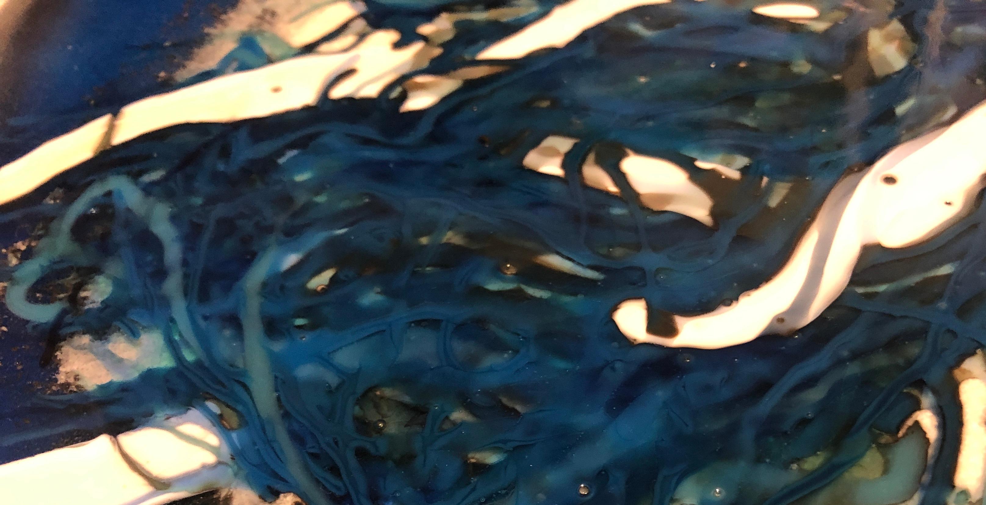 Anémona II, Azul, mar Vidrio formado en horno por Jennifer Baker Vidrio abstracto en venta 1