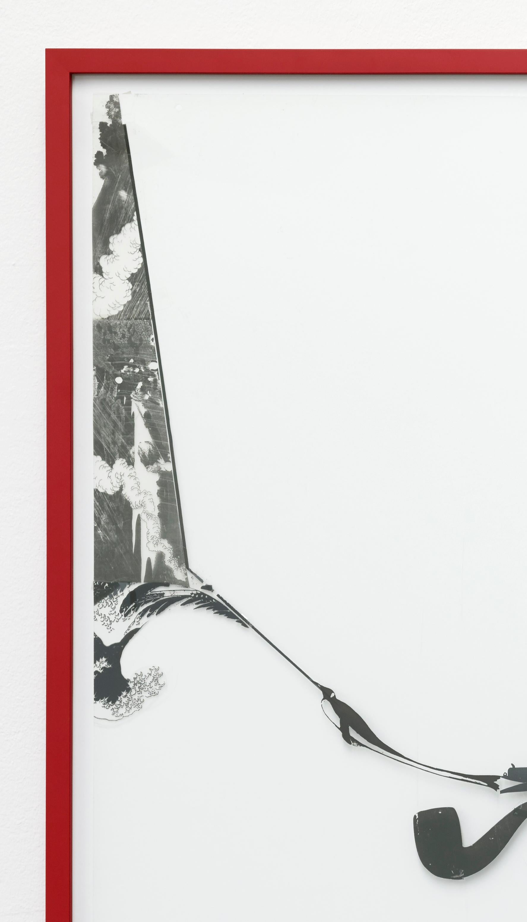 nic hess