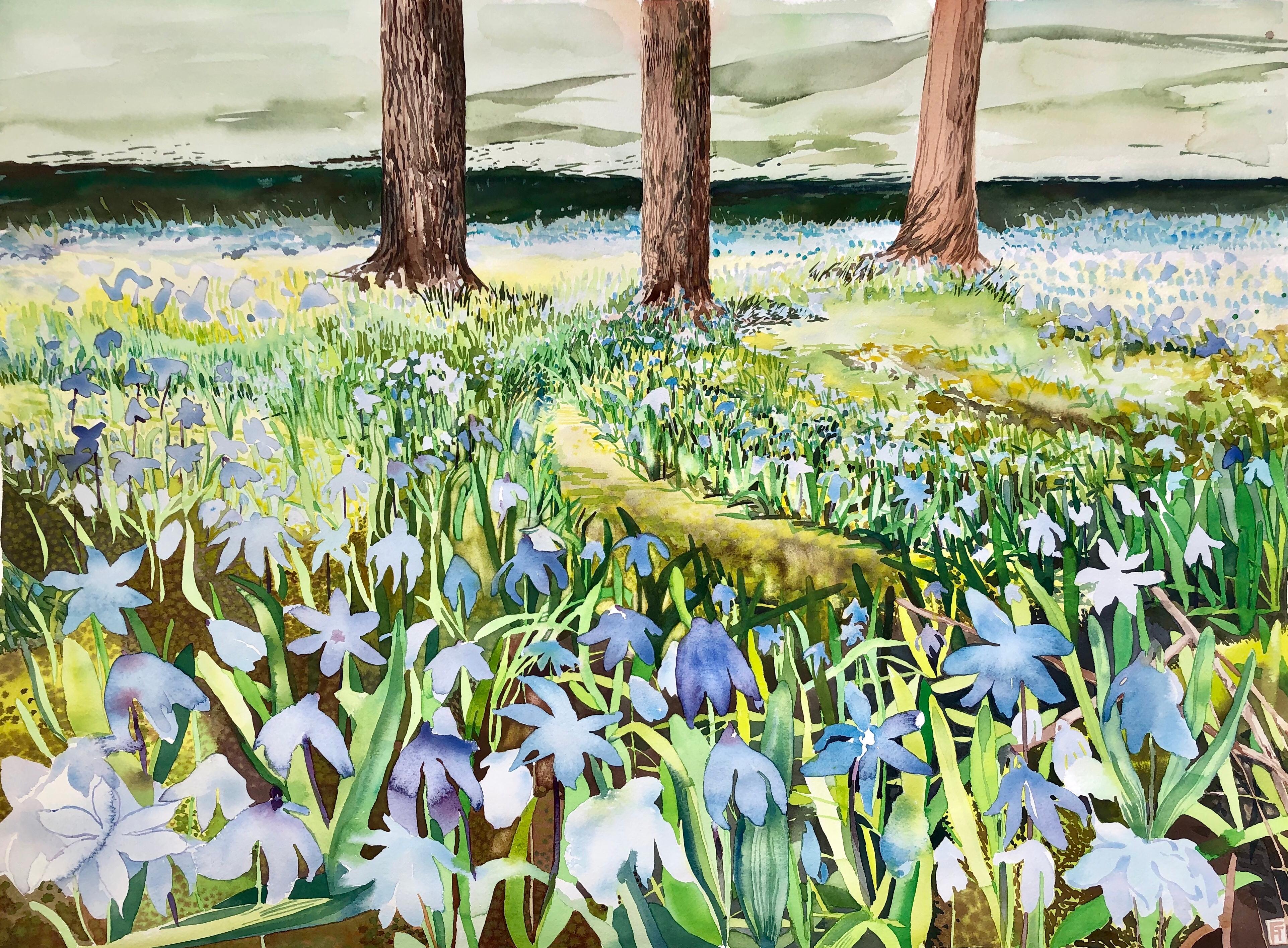 "HOPE", watercolor, spring, snow flowers, trees, moss, gardens, flora, nature