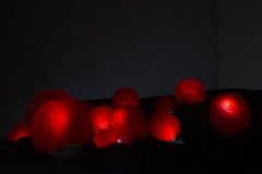 'Glowing Orbs' Red Wax, LED Lights, Driftwood, Original Tabletop Sculpture