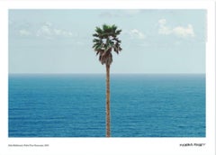 „Palm tree / seascape“ Landschaftsfotografie Museumsplakat:: 27 x 19 Zoll