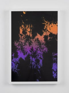 Dusk/Daybreak 2 Framed Color Photography Print  30 x 20 in. Sunset Purple Palm