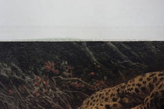 Hand-colored Print of Wild Cats in "Play"