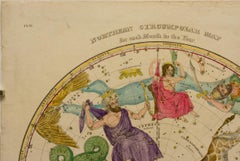 Northern Circumpolar Map for each Month of the Year (Pl. VI)