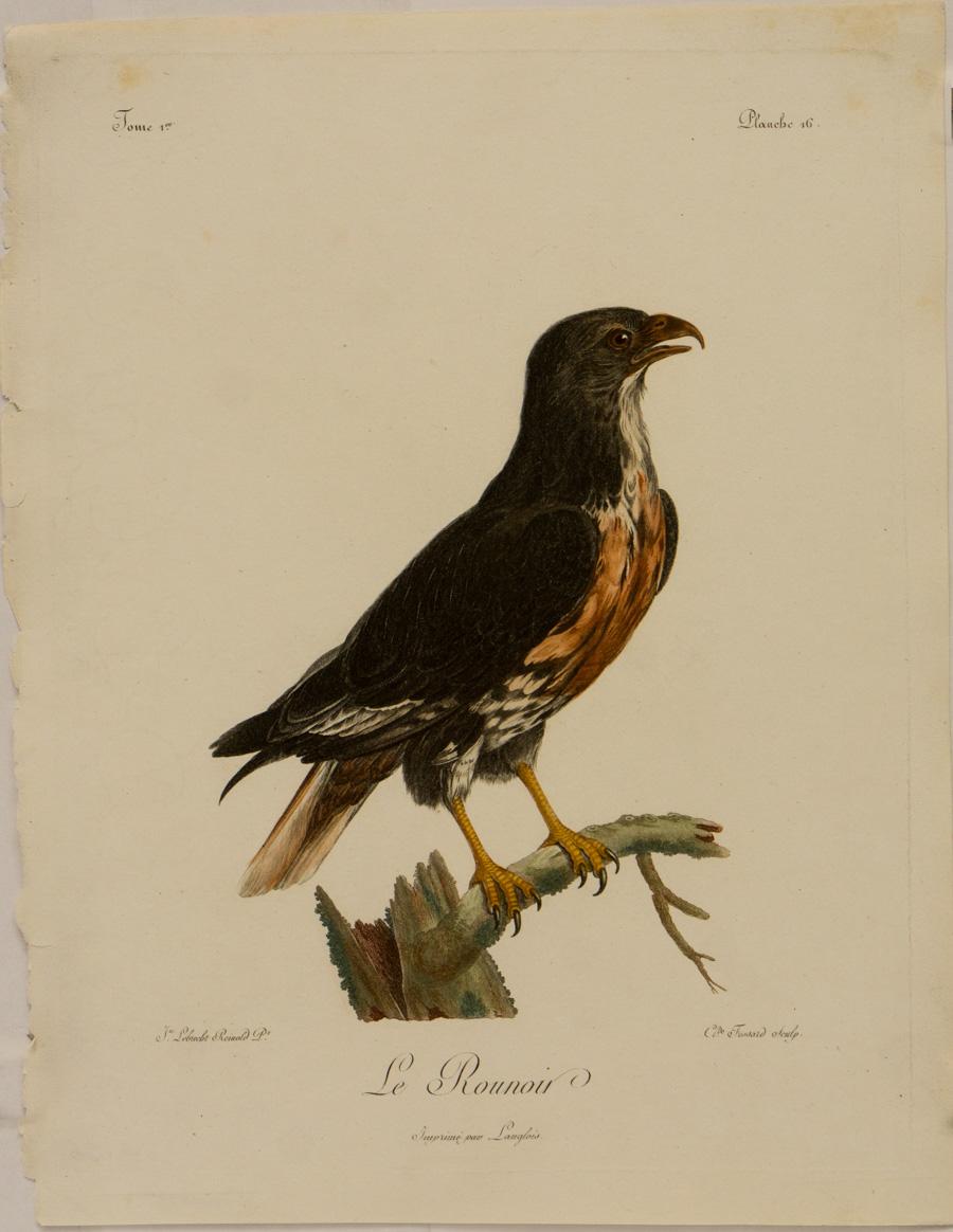 Johann Lebrecht Reinold Animal Print - Le Rounnoir