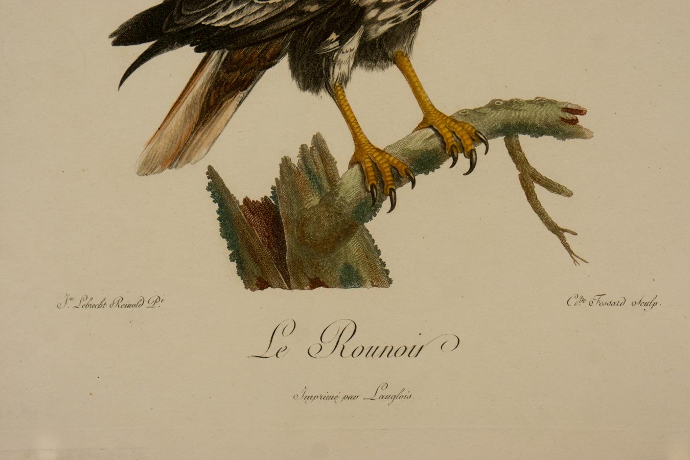 Le Rounnoir - Print by Johann Lebrecht Reinold