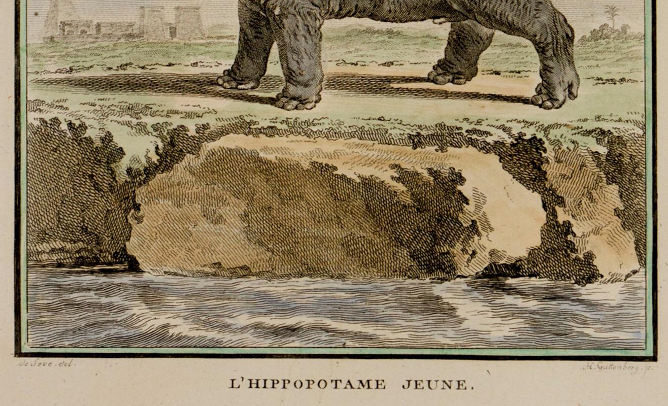 L'Hippotame Jeune - Beige Animal Print par Jacques de Seve