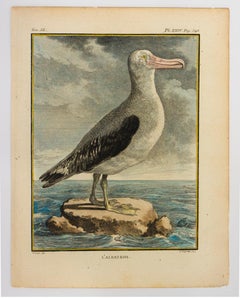 Antique L'Albatross