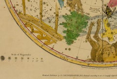 Southern Circumpolar Map for each Month of the Year (Pl. VII)