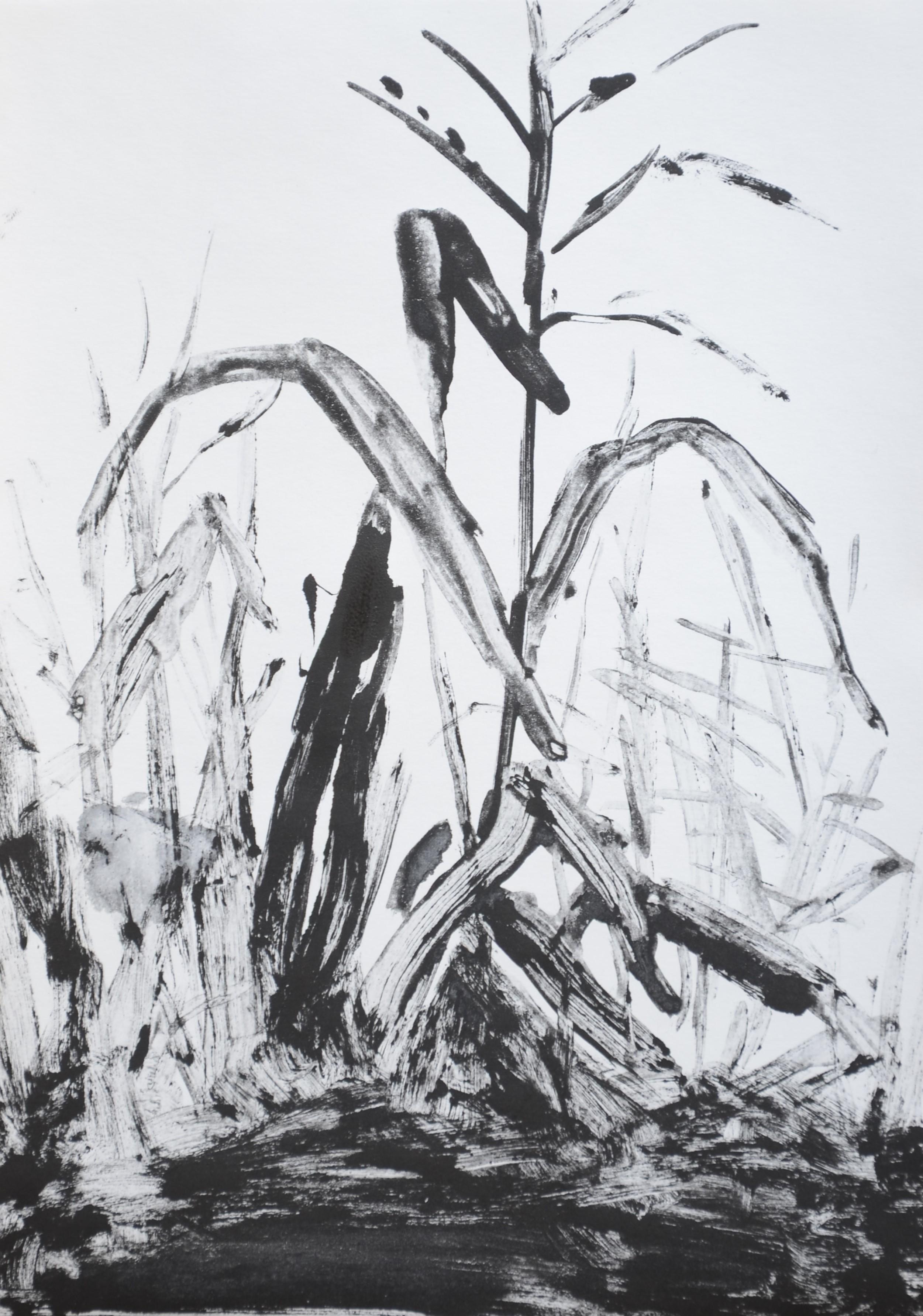 Artist Jasper Hagenaar made unique monotypes. The monoprints are works in black acrylic paint pressed on paper (21 x 29,5 cm) based upon previous paintings. This a a work of a plant, with some very nice details. Signed on the back.

Over the last