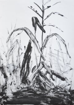 Jasper Hagenaar, Untitled (monotype in black and white of plants)
