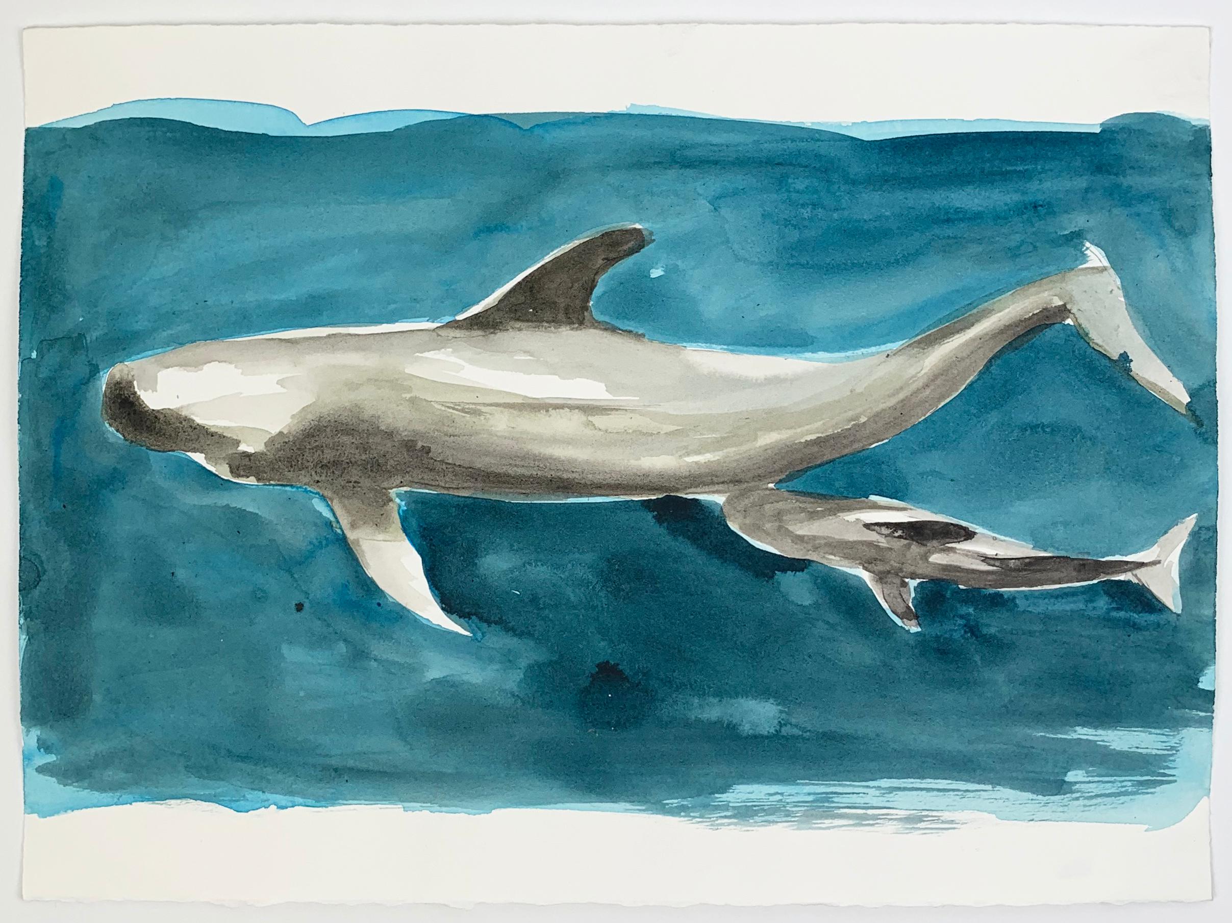 two dolphins drawing