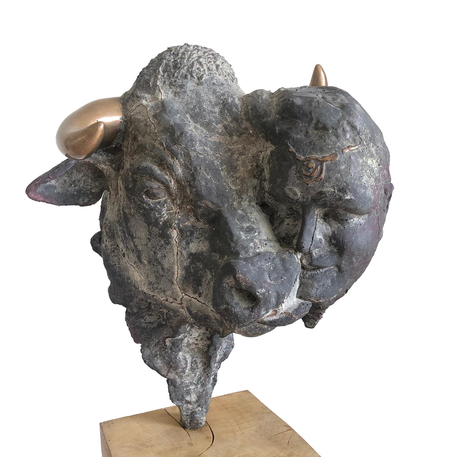 Figurative Bronze Contemporary Sculpture: Europe e il Torro   Godfried Dols

Dols was born in 1958. Godfried developed himself from his 18th until his 30th as an self-taught ceramist and potter. A period of twenty years followed, in which creating