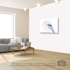 Contemporary Nature Photography: Jan-van-Gent