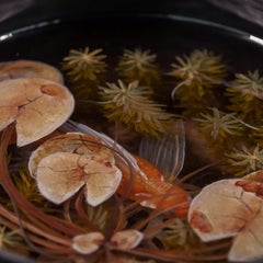 Contemporary Object 3D Painting; Tibetan Pond II - Fish Ponds