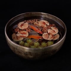 Contemporary Object 3D Painting; Tibetan Pond III - Fish Ponds