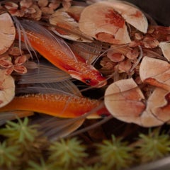 Contemporary Object 3D Painting; Tibetan Pond III - Fish Ponds