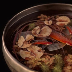 Contemporary Object 3D Painting; Tibetan Pond IV - Fish Ponds