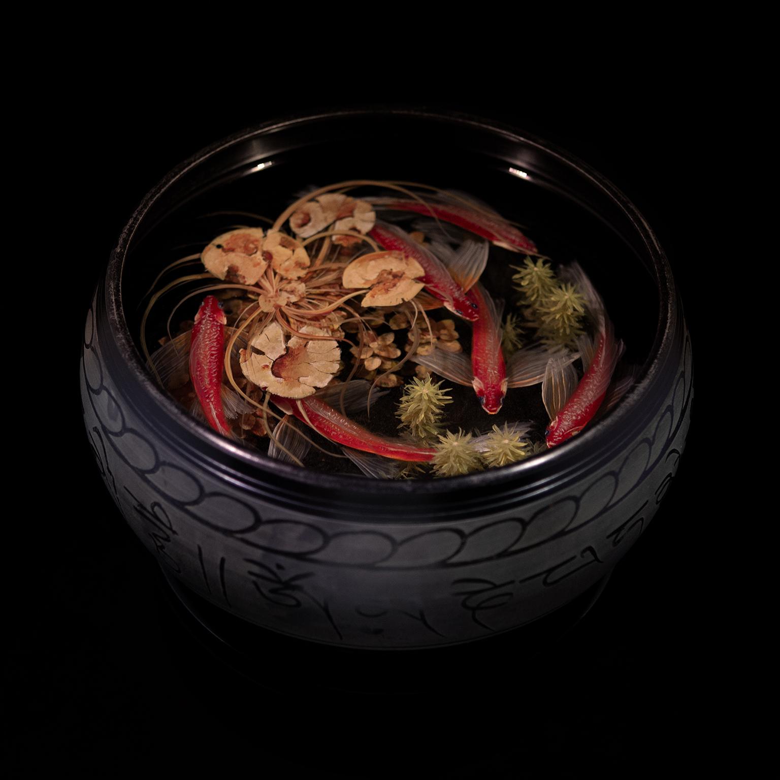Contemporary Object 3D Painting; Tibetan Pond V - Fish Ponds - Mixed Media Art by Ben Kleyn