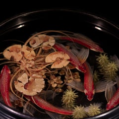 Contemporary Object 3D Painting; Tibetan Pond V - Fish Ponds