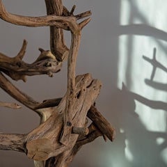"Dry Land Drifter" scultura organica e astratta di un albero