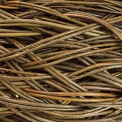 "Poise" Laura Ellen Bacon, Woven Willow Abstract Basket