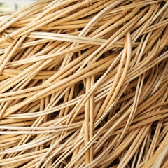 "Surface Form" Laura Ellen Bacon, Woven Willow Abstract Sculpture