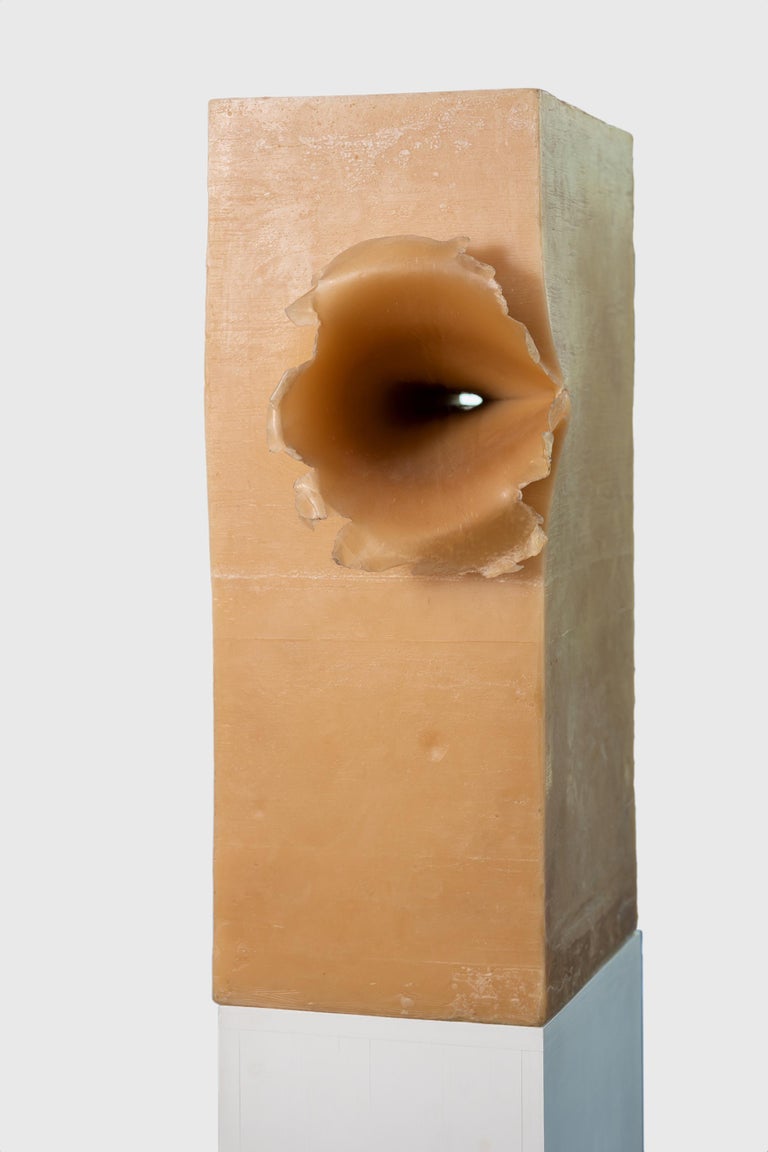 Petroc Sesti Memory of Matter, Hard Wax with single 20mm tank shell