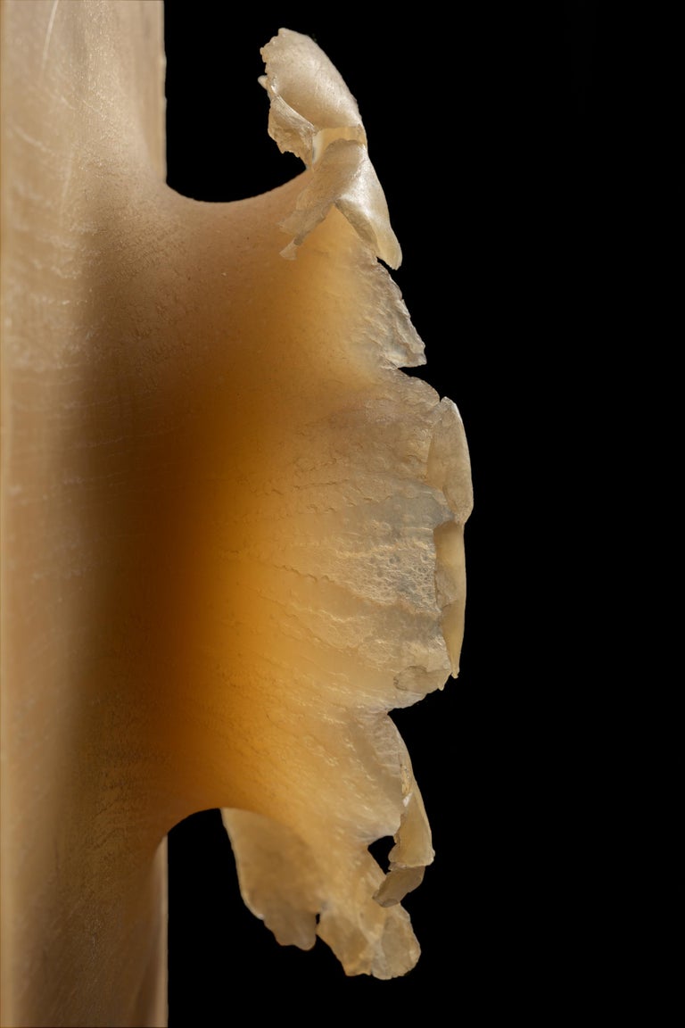 Petroc Sesti Memory of Matter, Hard Wax with single 20mm tank shell