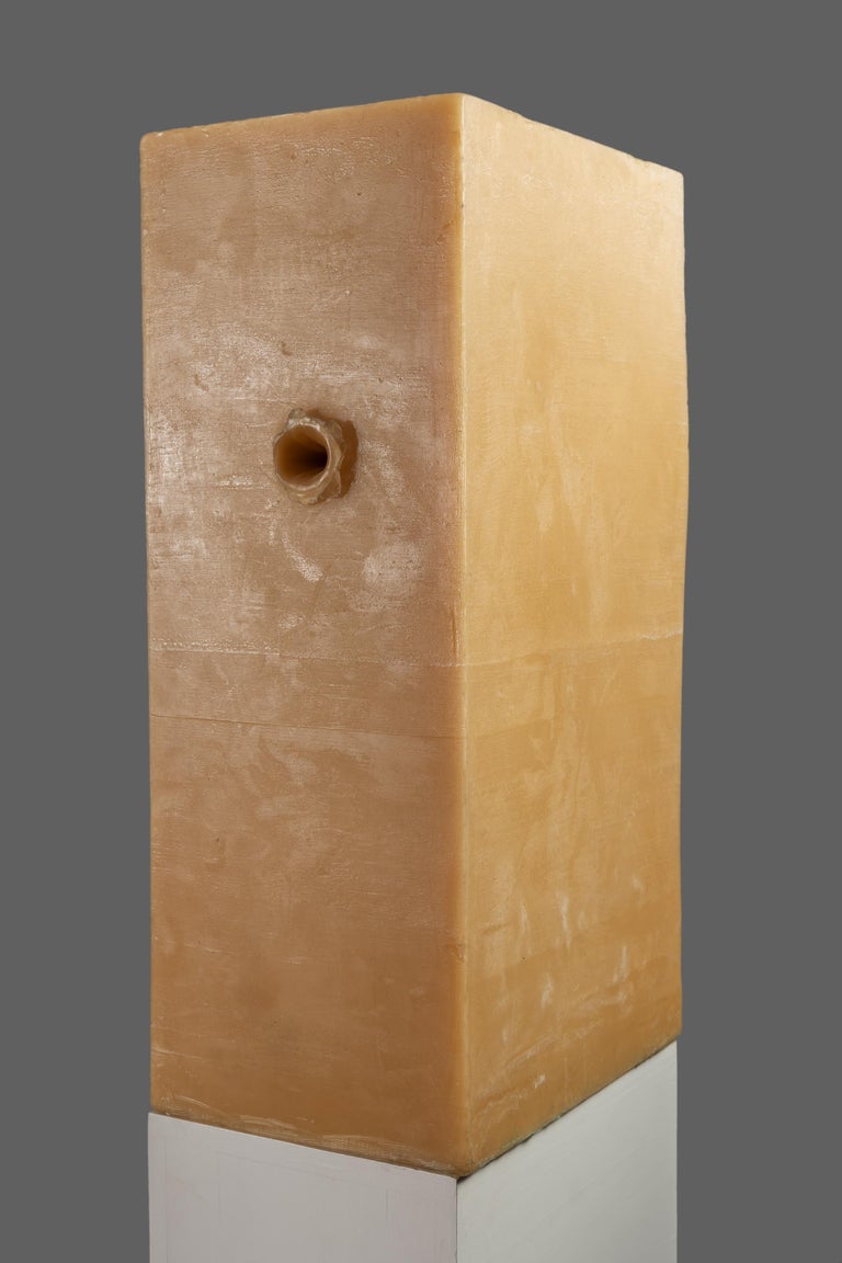 Petroc Sesti Memory of Matter, Hard Wax with single 20mm tank shell