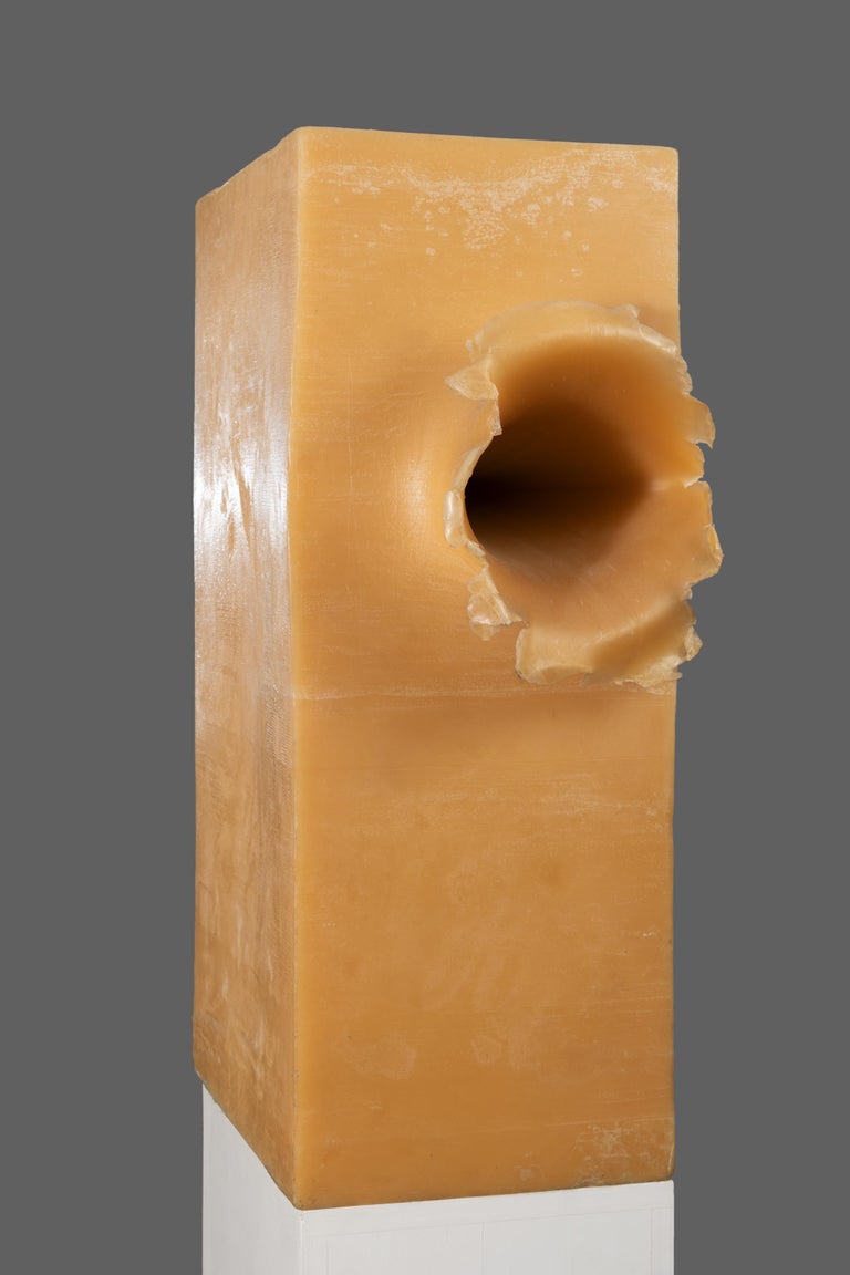 Petroc Sesti Memory of Matter, Hard Wax with single 20mm tank shell