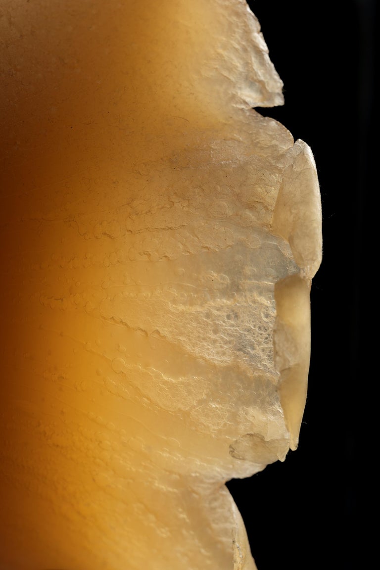 Petroc Sesti Memory of Matter, Hard Wax with single 20mm tank shell