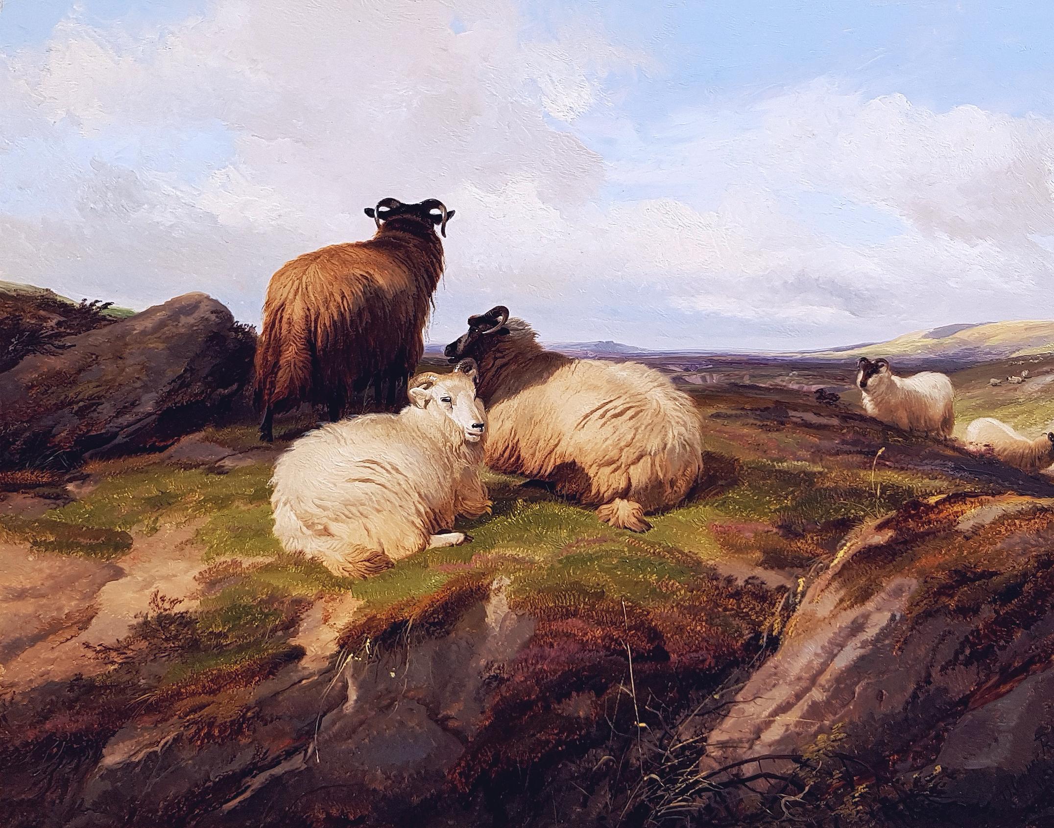 Mountain Sheep - Painting by Thomas Sidney Cooper
