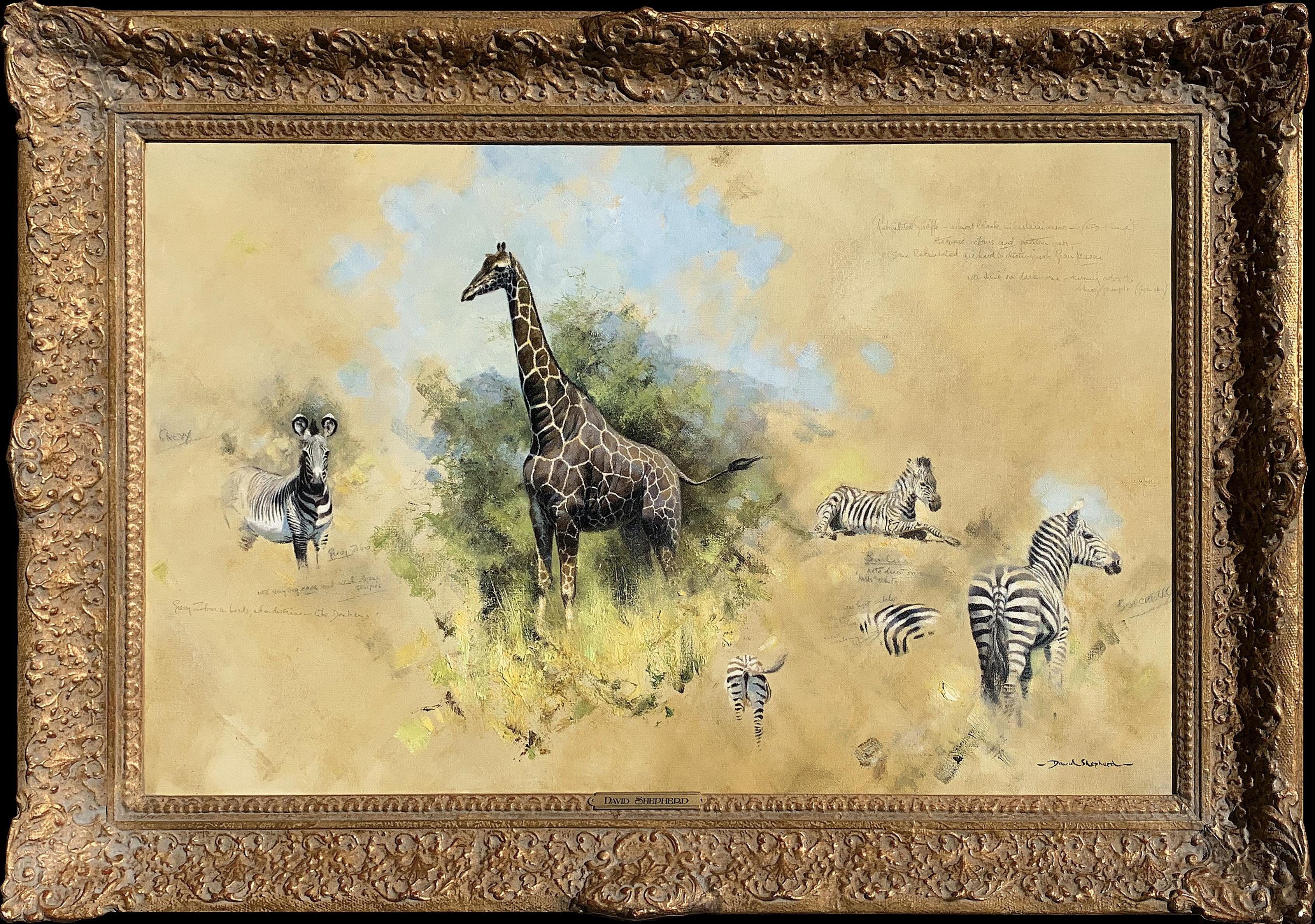 David Shepherd, CBE FRSA FRGS Animal Painting - Studies of Zebra and Giraffe