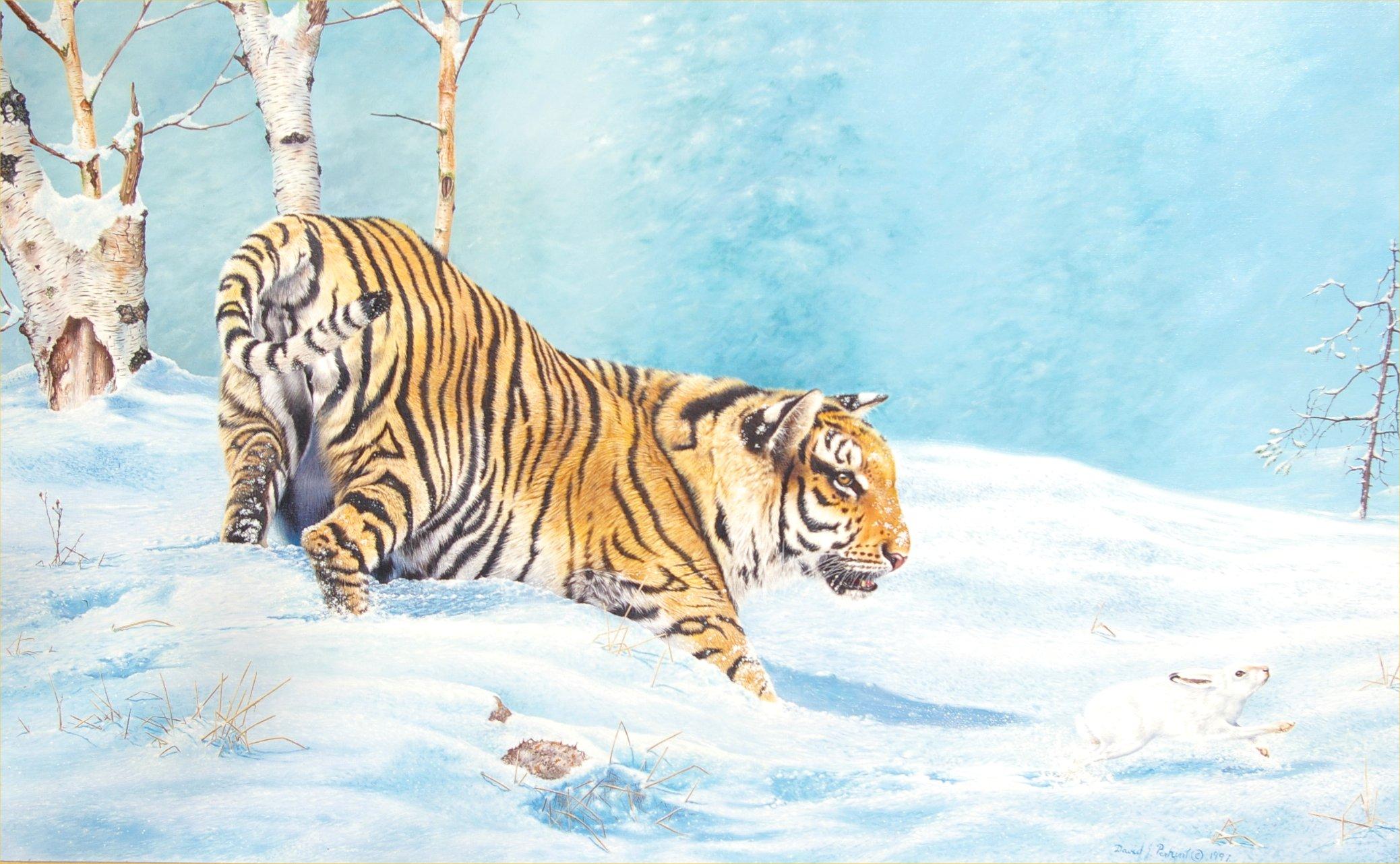 Siberian Tiger - Painting by David J Perkins