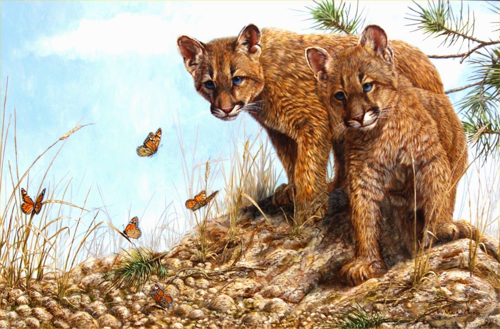 Mountain Monarchs - Painting by Mark Chester