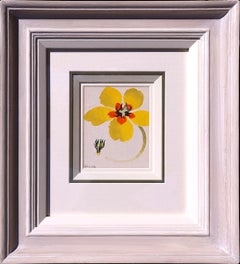 Watercolor Still-life Drawings and Watercolors