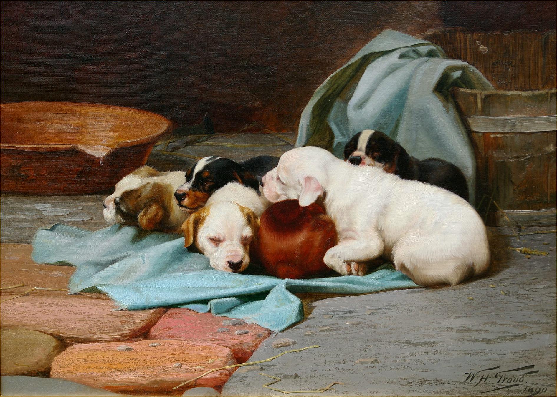 Pups Slumber - Painting by William Henry Hamilton Trood