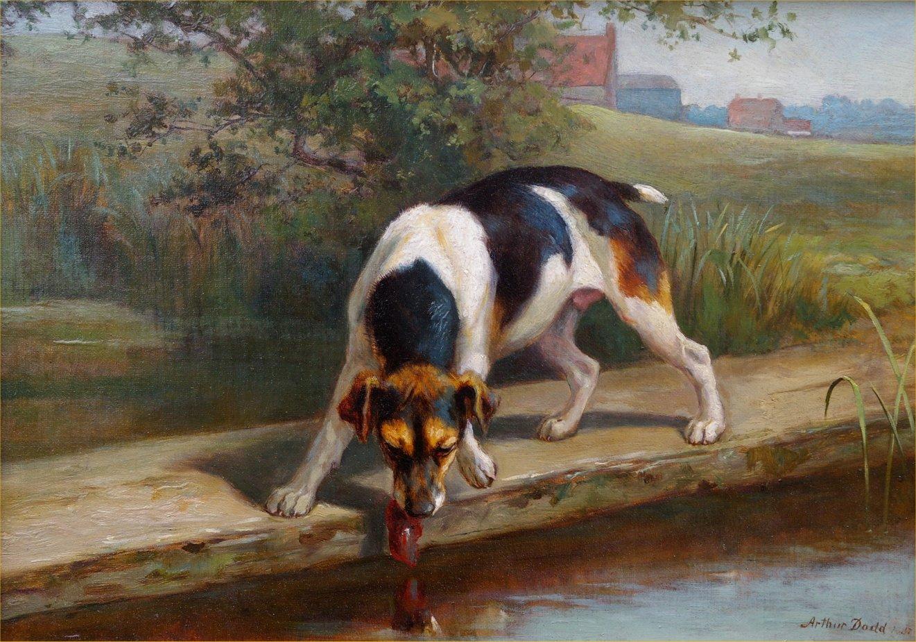 Arthur Dodd Animal Painting - Spotting his Reflection
